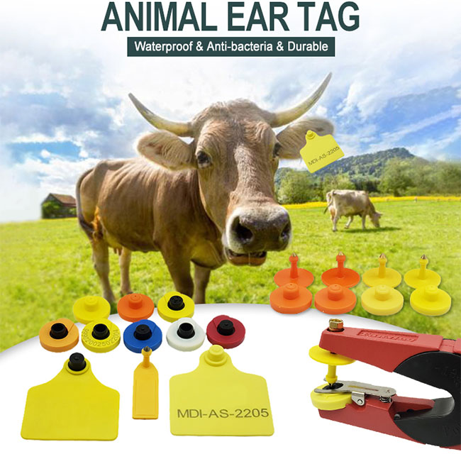 RFID animal and livestock tags